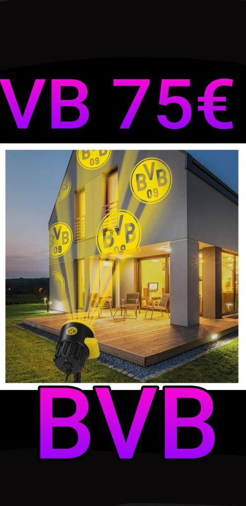 BVB Borussia Dortmund Motiv Aussen Strahler