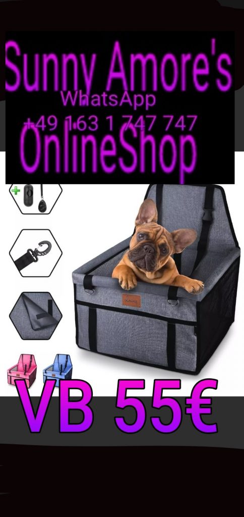 ❣️💛💜Sunny Amore's OnlineShop💜WhatsApp +49 163 1 747 747💜❣️AutoHundesitz in Grau zum SchnäppchenPreis von nur 55€😘💋💜❣️❣️